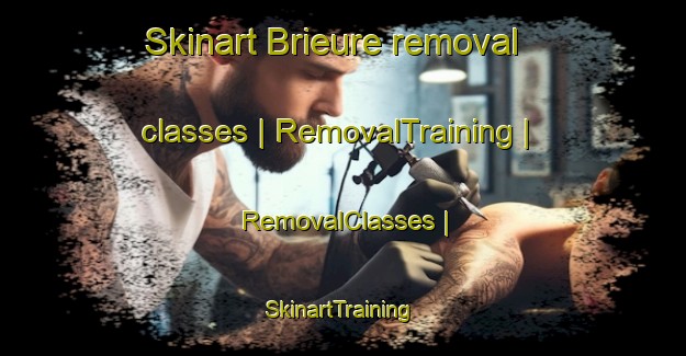 Skinart Brieure removal classes | RemovalTraining | RemovalClasses | SkinartTraining-France